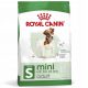  Royal Canin Mini Felnőtt 4 kg