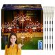  4x GARDEN SOLAR LED FA LÁMPA Dandelion FIREWORKS 480LED TÁVIRÁNYÍTÓ