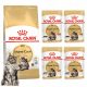  Royal Canin Maine Coon Adult macskaeledel száraz 0,4 kg + nedves 4x85g