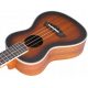  QBT koncert ukulele