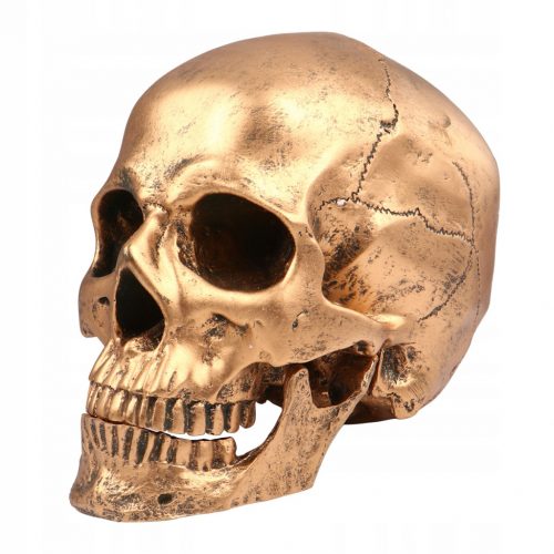  1 db koponya akciófigura Halloween Skull Prop