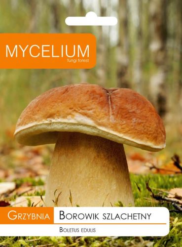  Micélium vargánya micélium 10 g