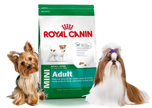 Száraz kutyaeledel - Dry Food Royal Canin Chicken 8 kg