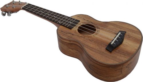  MSA koncert ukulele