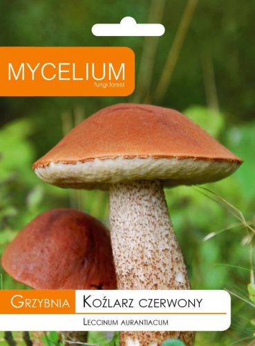  Micélium micélium Piros vargánya 0,01kg