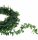  Boxwood Garland