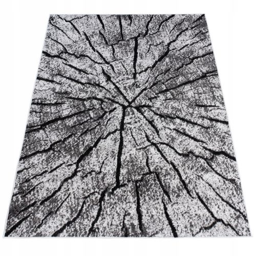 Szőnyeg - Alacsony szálú szőnyeg Chemex szőnyegek 200 x 300 cm