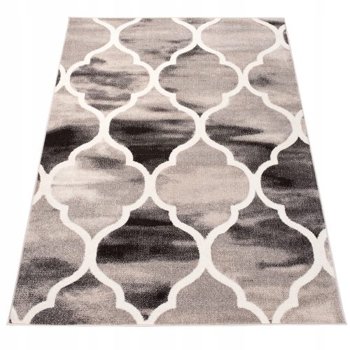 Szőnyeg - Puha divatos szőnyeg 160x230 Különböző puha minták