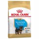 Száraz kutyaeledel - Royal Canin Yorkshire kölyökkutya 1,5 kg York Junior