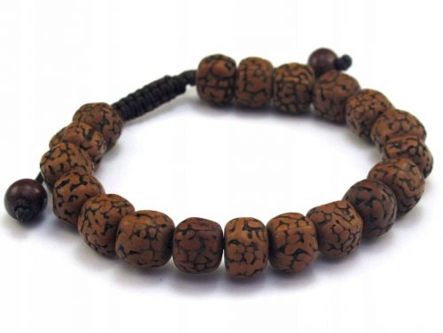  Karkötő kis buddhista RUDRAKSHA magok [B745]